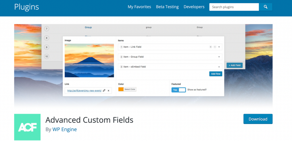 Advanced Custom Fields plugin
